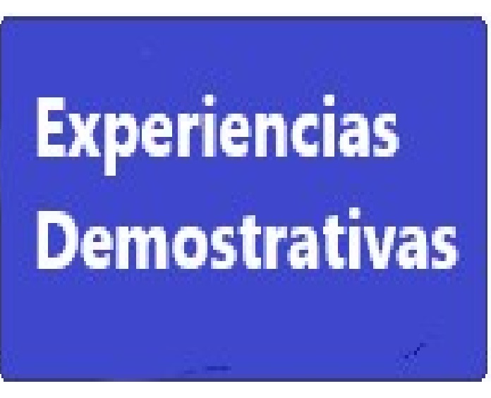 Cuadro de texto: Experiencias Demostrativas